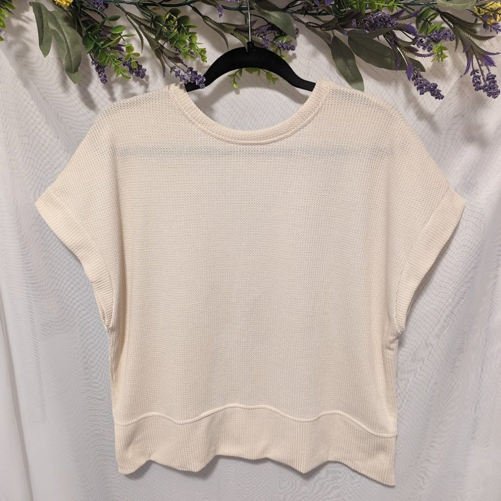 SHEIN Essnce Solid Batwing Sleeve Tee